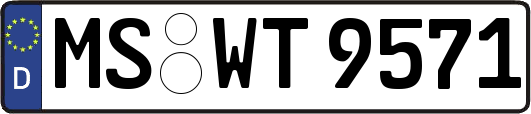 MS-WT9571
