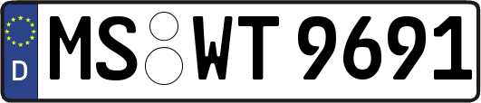 MS-WT9691