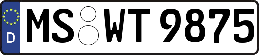 MS-WT9875