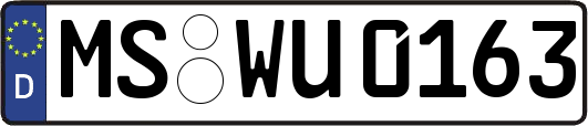 MS-WU0163
