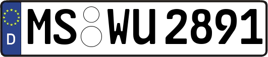 MS-WU2891
