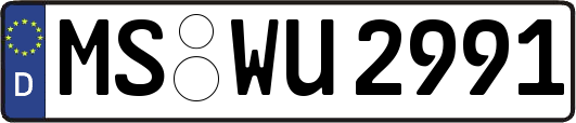 MS-WU2991