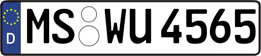 MS-WU4565