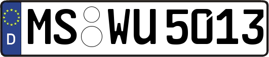MS-WU5013