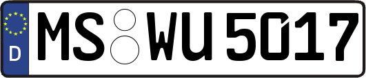 MS-WU5017