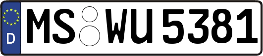 MS-WU5381