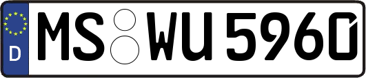 MS-WU5960