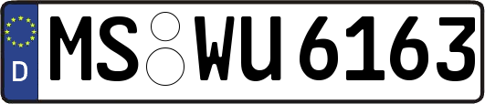 MS-WU6163