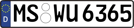 MS-WU6365