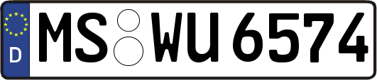 MS-WU6574