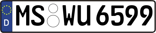 MS-WU6599