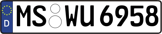 MS-WU6958