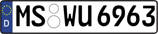 MS-WU6963