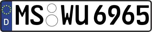 MS-WU6965