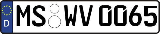 MS-WV0065