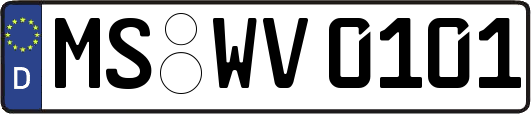 MS-WV0101