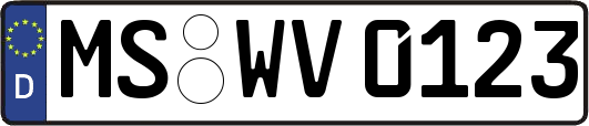 MS-WV0123