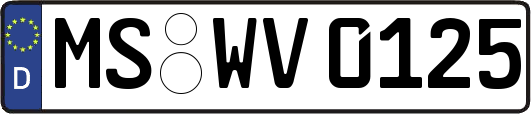 MS-WV0125