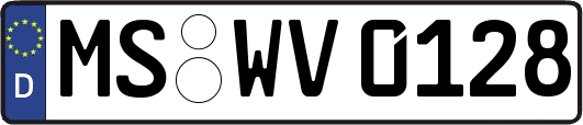 MS-WV0128
