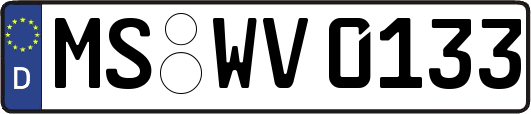 MS-WV0133