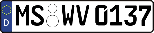 MS-WV0137
