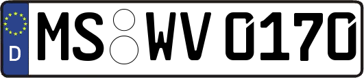 MS-WV0170