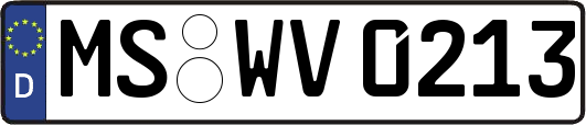MS-WV0213