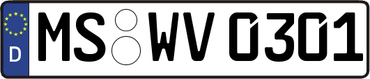 MS-WV0301