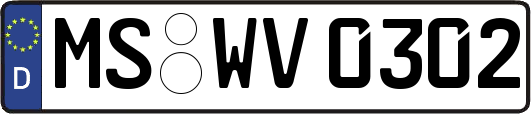 MS-WV0302