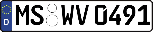 MS-WV0491