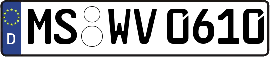 MS-WV0610