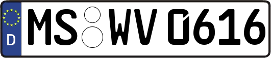 MS-WV0616