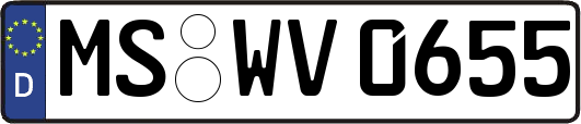 MS-WV0655