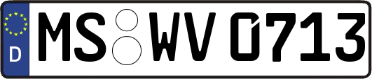 MS-WV0713