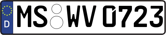MS-WV0723