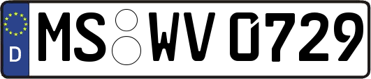 MS-WV0729