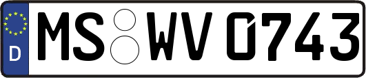 MS-WV0743