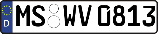 MS-WV0813
