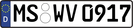 MS-WV0917