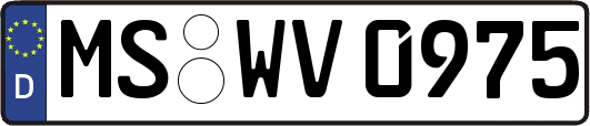 MS-WV0975
