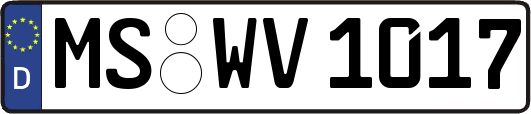 MS-WV1017