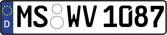 MS-WV1087