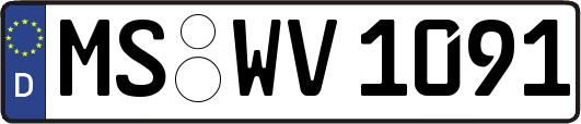 MS-WV1091