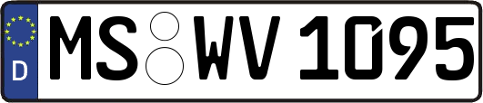 MS-WV1095