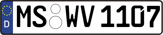 MS-WV1107