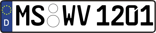MS-WV1201