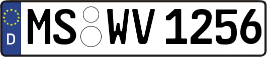 MS-WV1256