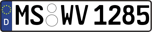 MS-WV1285