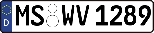MS-WV1289
