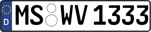 MS-WV1333
